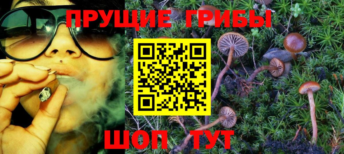 Псилоцибиновые грибы мицелий  Галлюциногенные грибы Psilocybe  Вход с VPN  Тольятти 